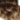 Detailansicht des Haaransatzes der Clip-in Extensions in Schwarz-Braun & Hellbraun-Karamell, Fashion Line – Rubin Extensions®