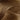 swatch-natur-goldbraun