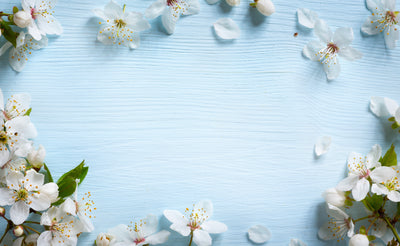 Coiffures de printemps avec de vraies extensions de cheveux