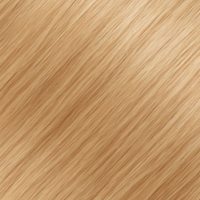 Haartressen - Genius Wefts -Tape-in Echthaar Extensions Honey-Honey - Premium Line