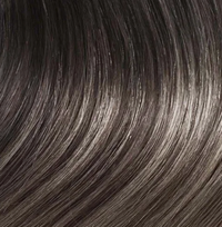 Farbkarte Ponytail Sombre Schwarz–Silberblond